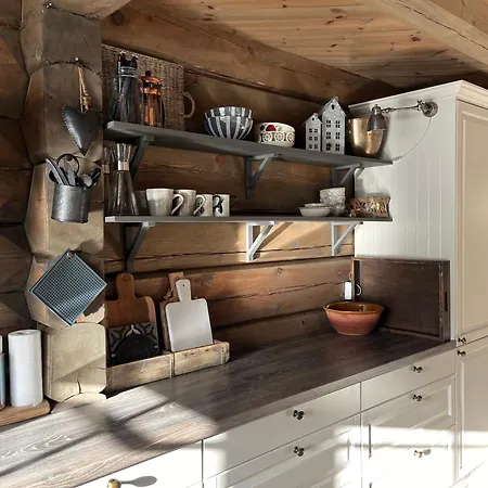Prázdninový dům Ornenipa Lodge- Flott Med 6 Sov, 2 Bad Og Beliggenhet Gaustablikk