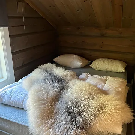 Hébergement de vacances Ornenipa Lodge- Flott Med 6 Sov, 2 Bad Og Beliggenhet Gaustablikk