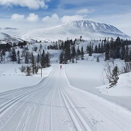 בית נופש Ornenipa Lodge- Flott Med 6 Sov, 2 Bad Og Beliggenhet *