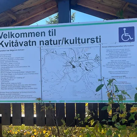 Ornenipa Lodge- Flott Med 6 Sov, 2 Bad Og Beliggenhet * Gaustablikk